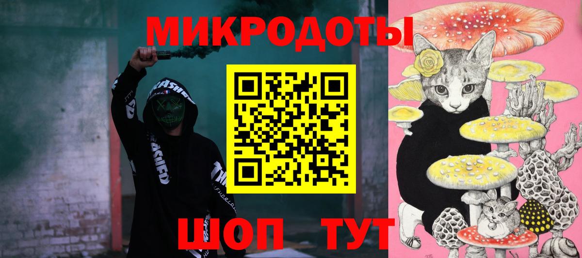 Псилоцибиновые грибы Psilocybe Воронеж